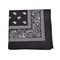 Mechaly Extra Large Polyester Paisley Bandana 27X27 Inches Multicolor Decor